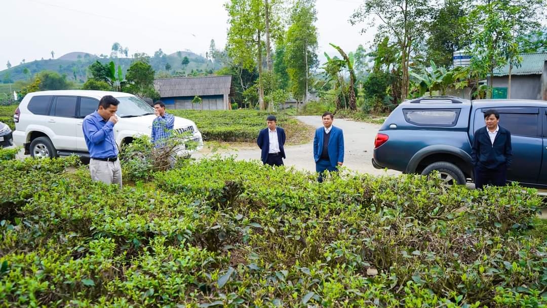 z4146488721692_fa81b82713cb9856a091486fd1263617