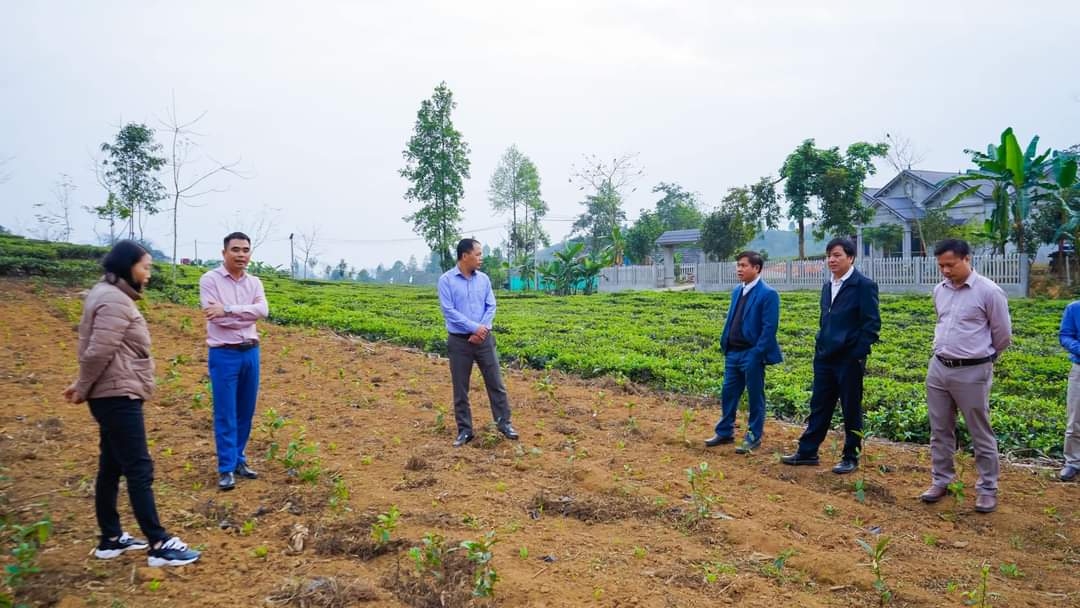 z4146488724214_91512468ec2bf0df05e764c77132fdd5_1