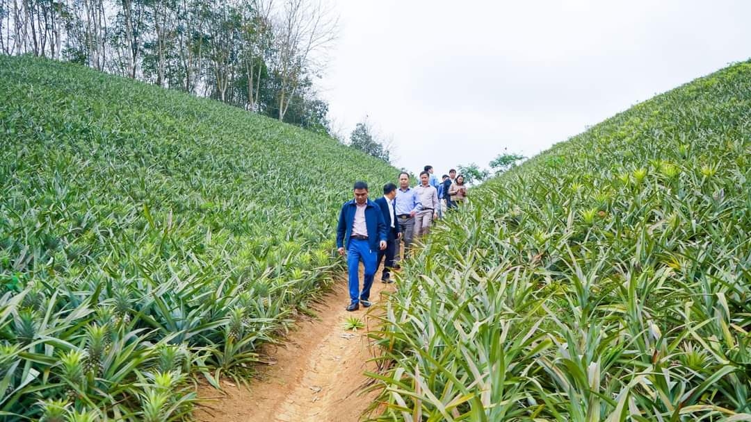 z4146488732887_23a6c9c96acc1c1b363f82890e161cb1_1