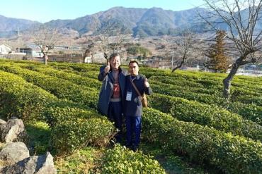 Thăm và làm việc với Viện nghiên cứu trà xanh Hàn Quốc