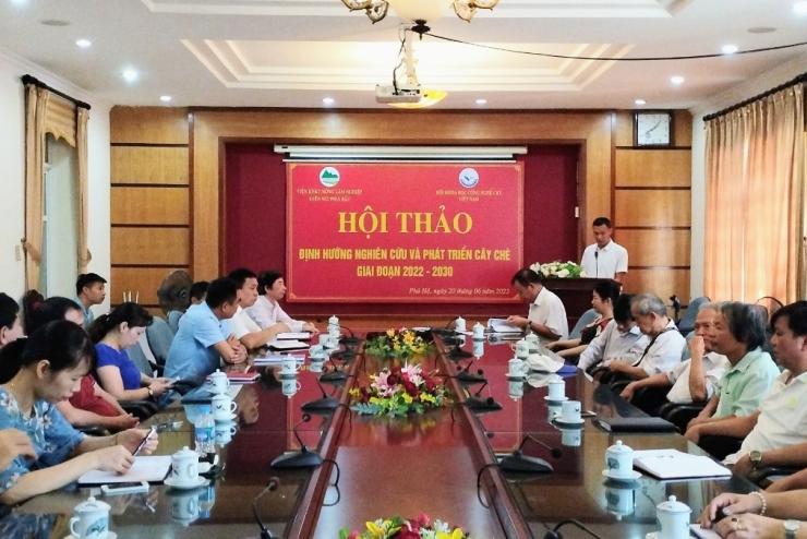 HỘI THẢO ĐỊNH HƯỚNG NGHIÊN CỨU VÀ PHÁT TRIỂN CÂY CHÈ GIAI ĐOẠN 2022–2030