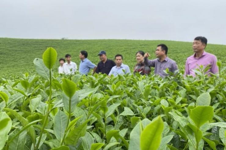 Chặng đường phát triển của Cơ quan nghiên cứu nông Lâm nghiệp tại Phú Hộ