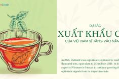 DỰ BÁO XUẤT KHẨU CHÈ CỦA VIỆT NAM SẼ TĂNG VÀO NĂM 2022
