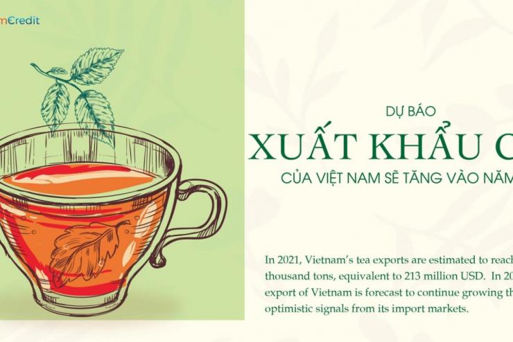 DỰ BÁO XUẤT KHẨU CHÈ CỦA VIỆT NAM SẼ TĂNG VÀO NĂM 2022