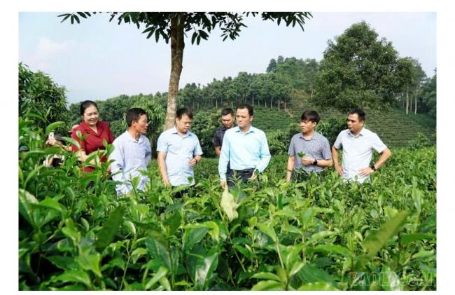 Phó Chủ tịch UBND tỉnh Giàng Quốc Hưng kiểm tra hai mô hình nông nghiệp ứng dụng khoa học công nghệ tại Hưng Khánh và Quy Mông
