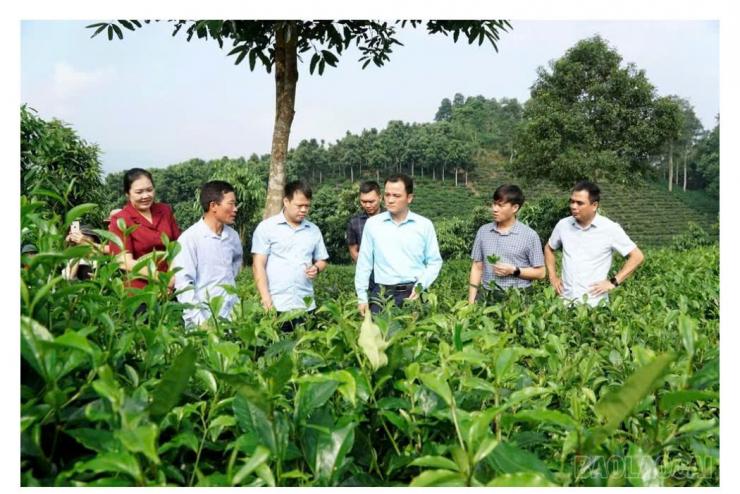 Phó Chủ tịch UBND tỉnh Giàng Quốc Hưng kiểm tra hai mô hình nông nghiệp ứng dụng khoa học công nghệ tại Hưng Khánh và Quy Mông