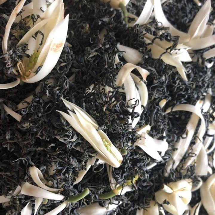 Chè hoa Bạch Thiên Hương - 6